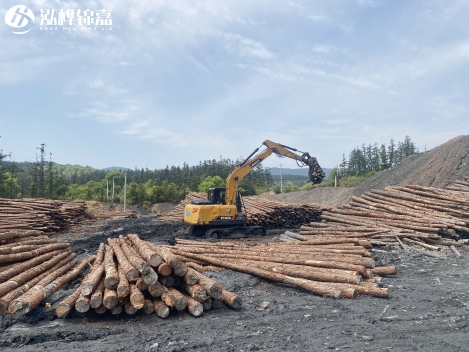 <a href=http://www.josiahconstruction.com/ target=_blank class=infotextkey>松木樁</a>施工