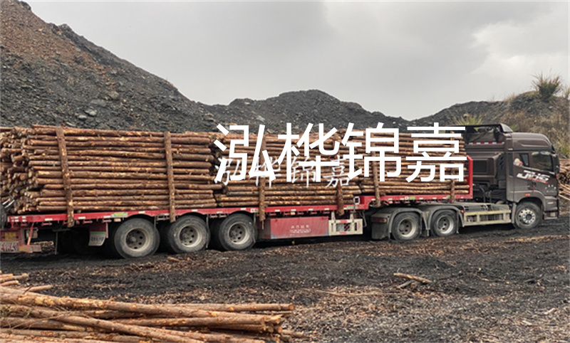 景觀松木樁多少錢一根？讓您的家園更添自然氣息！