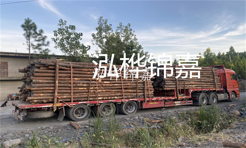 上海護(hù)坡松木樁價(jià)格多少？從價(jià)格、材質(zhì)、施工等角度分析