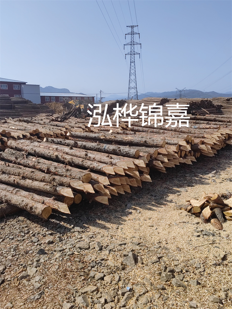 什么是松木樁？松木樁多少米？