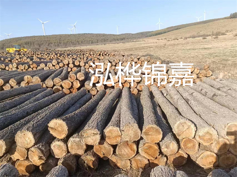 60級打松木樁一天打多少，快速提高戰(zhàn)斗力的小技巧