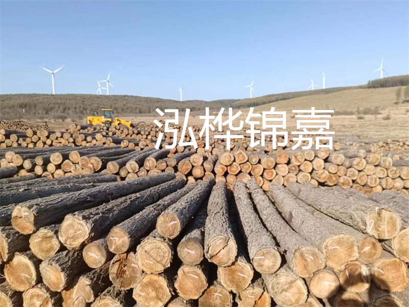 蘭州4米松木樁規(guī)格多少？全面解析！