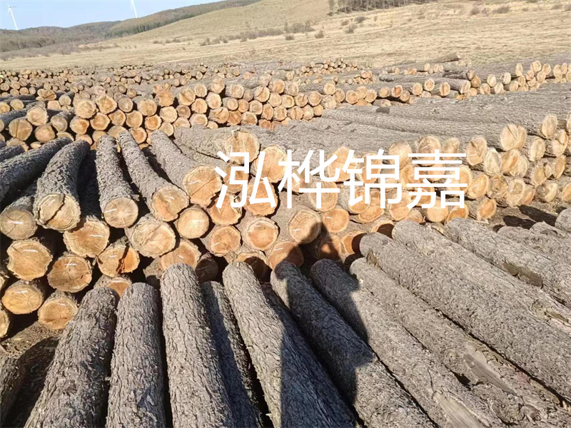 打松木樁一般間距多少為好？