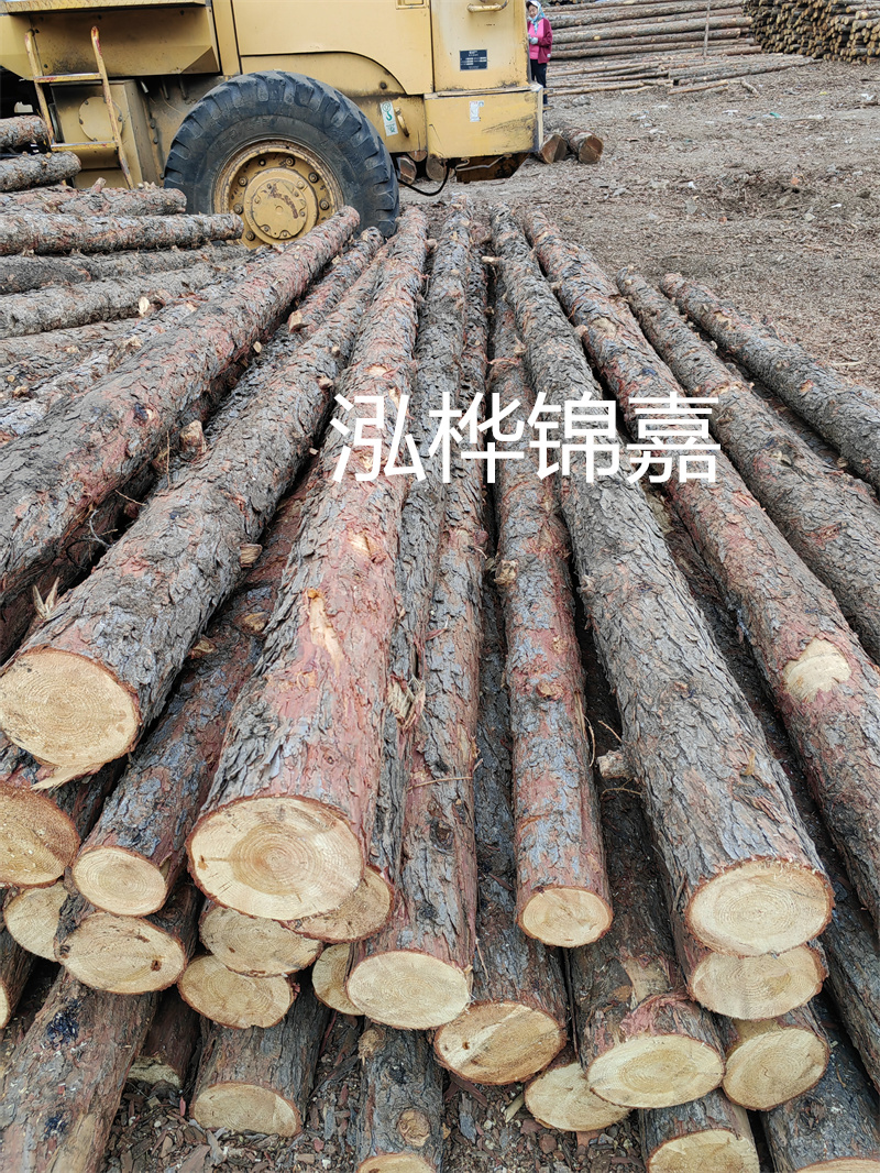 了解一下，一般松木樁多少錢一根？